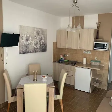 Javorka Apartmán Povljana
