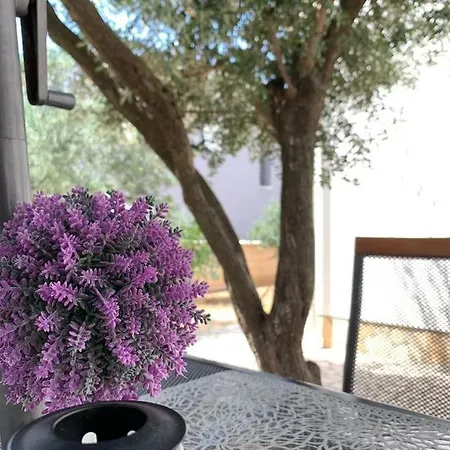 Javorka 公寓 波弗加纳